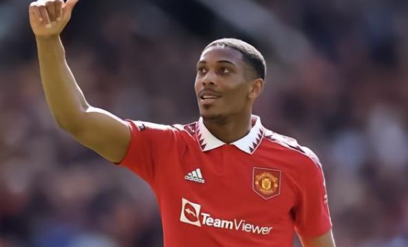 他们共同特 他们共同特